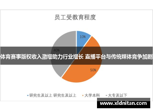 体育赛事版权收入激增助力行业增长 直播平台与传统媒体竞争加剧